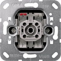 GIRA 010600 - Metallic - 250 V - 10 A