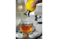 Gefu Zitronenentsafter CITRONELLO sonstige Küchenhelfer