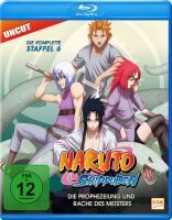 Naruto Shippuden - Die Prophezeiung und Rache des Meisters - Staffel 06: Folge 333-363 (Blu-ray)