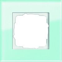 Gira RAHMEN 1-FACH ESPRIT (021118 GLAS  SYST.55)