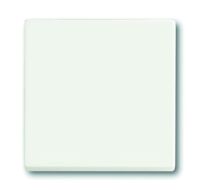 BUSCH JAEGER 1751-0-3027 - Buttons - White - Plastic - 63 mm - 63 mm - 1 pc(s)
