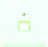 JUNG CD 569-1 UA WW - White - Thermoplastic - RJ-45