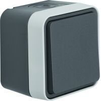 Berker 50453525 - Gray - 10 pc(s)
