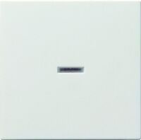 Gira UNIV.-KONTROLLWIPPE (029027 RWS   SYST.55)