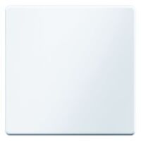 Berker 16206089 - White - Duroplast - 10 pc(s)