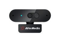 AVerMedia Webcam, Live Stream Cam 310P (PW310P), inkl. Micro (40AAPW310AVS)