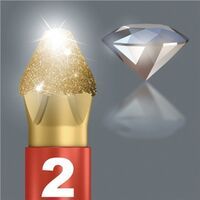 Wera DIAMOND 1 SATZ 12TLG. (BIT-CHECK 12)