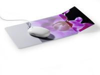 DURABLE Mouse Pad Plus mit Fotoeinschub grau/transp (574719)