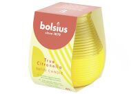 BOLSIUS True Citronella Patiolicht - 6 Stück