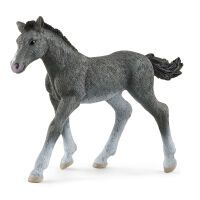 Schleich Horse Club     13944 Trakehner Fohlen Schleich