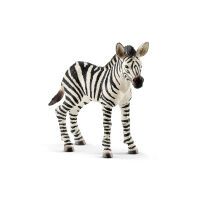 Schleich Wild Life         14811 Zebra Fohlen Schleich
