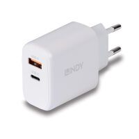 LINDY USB Ladegerät Typ A+C GaN Charger 65W, weiß (73428)