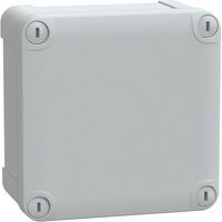 Schneider Electric INDUSTRIEGEH.105X105X55 ABS (NSYTBS11116)