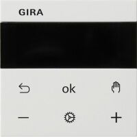 Gira S3000 RTR DISPLAY SYS55 RWS M (SYSTEM 55)