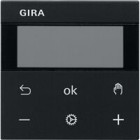 GIRA 5393005 S3000 RTR Display System 55 Schwarz m