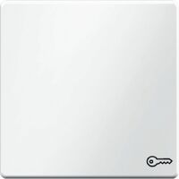 Berker Wippe m. Aufdruck Symbol T uer polarweiss samt 16206069