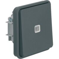 Berker 30863515 - Buttons - Grey - 10 A - 250 V