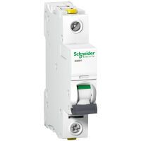 Schneider Electric IC60H 1P 10A B 10KA (A9F06110)