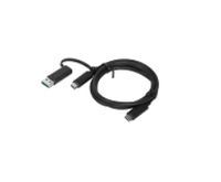 Lenovo USB-C Hybrid Kabel mit USB-A Adapter (4X90U90618)