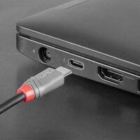 LINDY USB 2.0 Kabel Typ C/Micro-B Anthra Line M/M 2m (36892)