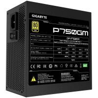 Gigabyte P750GM - 750 W - 100 - 240 V - 50/60 Hz - 12-6 A - Active - 16 ms