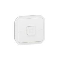 Legrand ROLLLADENSCH.+VERR.6A 250V UW (069629L  PLEXO NEW)