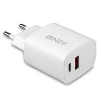 LINDY USB 2-Port Charger 20W, 1x USB-C PD & 1x USB-A, weiß (73413)