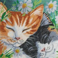 Craft Buddy Ltd. Crystal Art Leinwandbild Katzen 30x30 cm