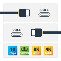 StarTech.com 3ft Locking USB C
