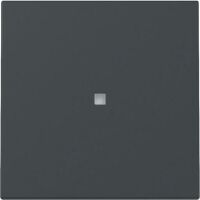 Gira WIPPE KONTROLLF.  ANTHRAZIT (329028 SYSTEM 55)