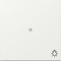 Gira WIPPE KONTROLLF.+SYMB.LICHT RW (367403 SYSTEM 55)