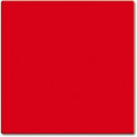 BUSCH JAEGER 2506-217-101 Wippe rot RAL3020