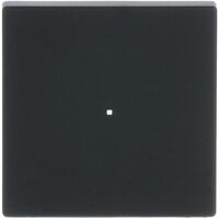 Busch-Jaeger WIPPE 1-FACH 6230-10-885 (6230-10-885)