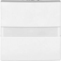 BUSCH JAEGER Komfortschalter 64765-914 flex m.Orientierungslicht