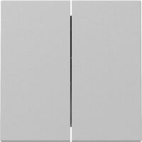 Gira WIPPE 2F SYSTEM 55 GRAU M (3295015 SYSTEM 55)