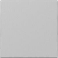 Gira WIPPE SYSTEM 55 GRAU M (3296015 SYSTEM 55)