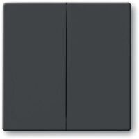 BUSCH JAEGER 1751-0-2930 - Buttons - Anthracite - 63 mm - 63 mm - 1 pc(s)
