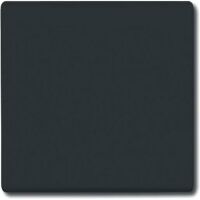 BUSCH JAEGER 2106-35 - Black - Busch-Jaeger - 70 mm - 70 mm - 1.3 cm - 1 pc(s)