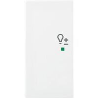 Busch-Jaeger WIPPE/L 2-FACH, DIMMER (6234-21-914)