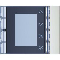 Bticino FRONTBL DISPLAYMODUL ALLMETAL (352501)