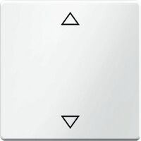 Berker WIPPE MIT AUFDRUCK SYMBOL (16206079      PW Q.1)