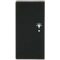Busch-Jaeger WIPPE/L 2-F LICHT 6231-21-885 (6231-21-885)