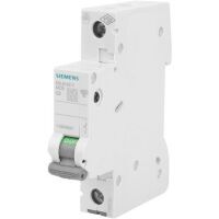 Siemens LS-SCHALTER 6KA 1POL C2 (5SL6102-7)