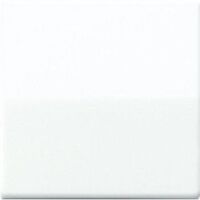 JUNG AS 591 BF WW - White - 501 U - 502 U - 503 U - 506 U - 507 U - 501-20 U - 506-20 U - 507-20 U - 502 TU - 506 TU - 507 TU - 531 U,... - IP44