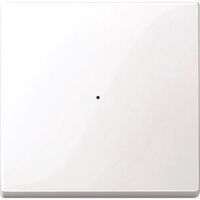 Merten WIPPE F.TSMOD 1F TPB SYSM (619119           PWS)