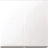 Merten WIPPEN F.TSMOD 2F TPB SYS.M (619219           PWS)