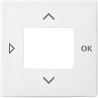 Busch-Jaeger ZENT.SCH.TIMER (6435-914)