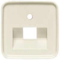 BUSCH JAEGER 1753-0-8949 - Ivory - Conventional - Busch-Jaeger - 54 mm - 54 mm - 1 pc(s)