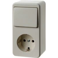 Berker AP-WECHSELSCH./SSTD KOMBINAT. (479640 WS)