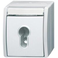 Busch-Jaeger AP SCHL.SCHALTER (2733 SLW-54)
